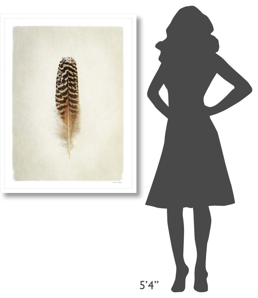 "Feather I" Digital Paper Print by Debra Van Swearingen, 32"x42"