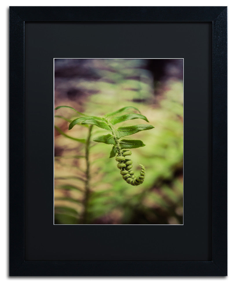 PIPA Fine Art 'Growth of the Forest Floor' Matted Framed Art, 20x16