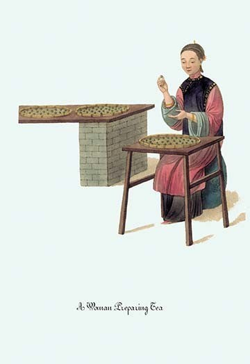A Woman Preparing Tea- Canvas Poster 20" x 30"