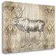"Natural History Lodge IX" By Wild Apple Portfolio, Gallery Wrap Canvas