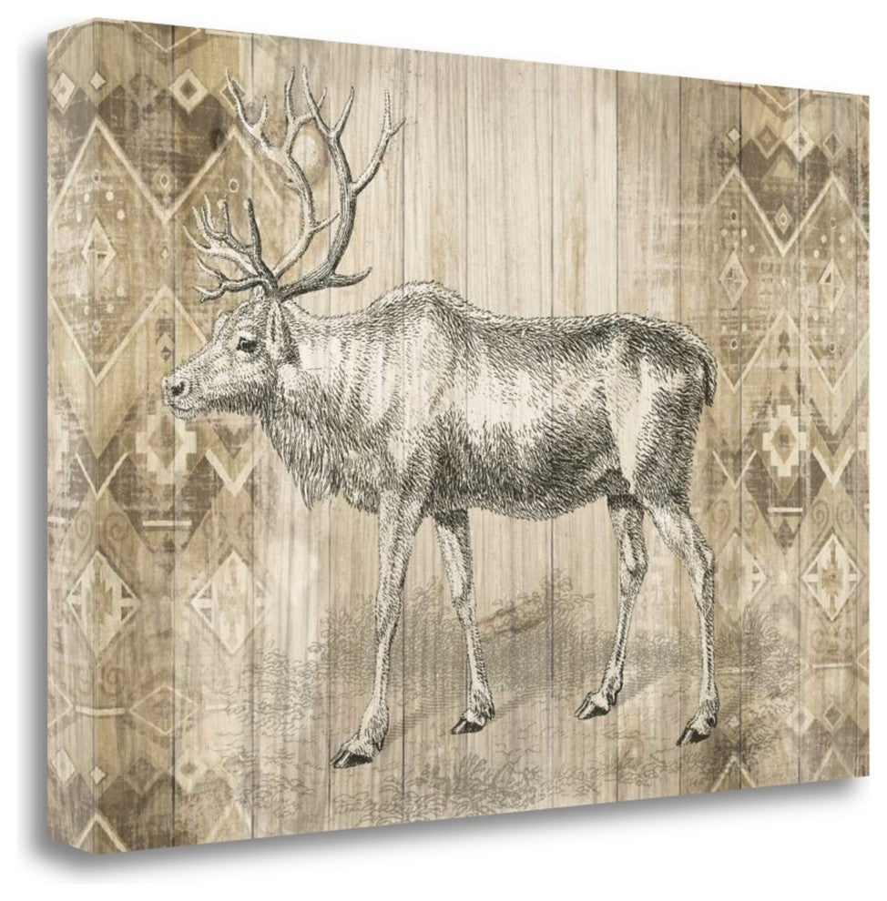 "Natural History Lodge IX" By Wild Apple Portfolio, Gallery Wrap Canvas