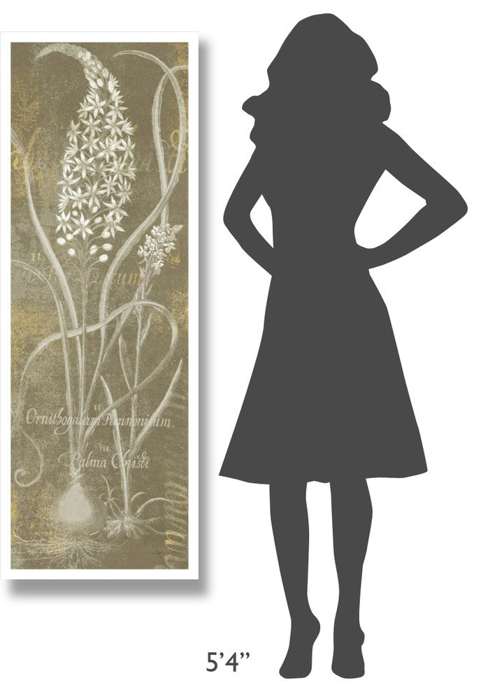 "Flower Lines III" Digital Paper Print by Sue Schlabach, 20"x56"