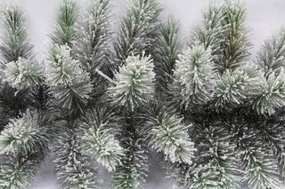 34 Tips Christmas Pine Swag with Frosted Snow Tips