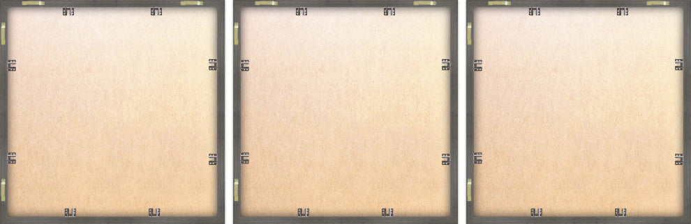 Sea Pen Triptych, 3-Piece Set, 12x12 Panels