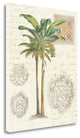 "Vintage Palm Study I" By Wild Apple Portfolio, Giclee on Gallery Wrap Canvas