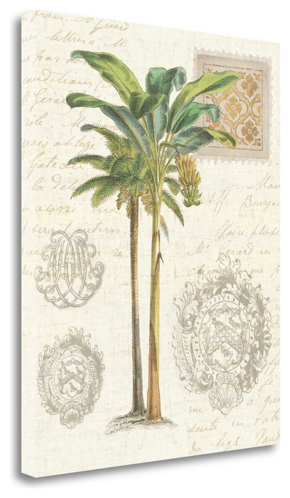 "Vintage Palm Study I" By Wild Apple Portfolio, Giclee on Gallery Wrap Canvas