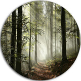 Light In Dense Fall Forest With Fog, Landscape Disc Metal Wall Art, 11"