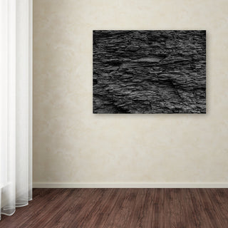 Kurt Shaffer 'Shale Abstract in Black and White' Canvas Art