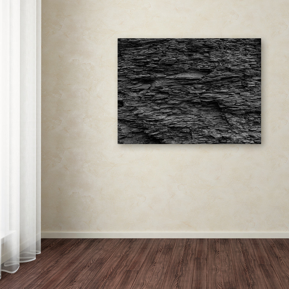 Kurt Shaffer 'Shale Abstract in Black and White' Canvas Art
