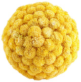 Cyan Design Medium Sia Filler