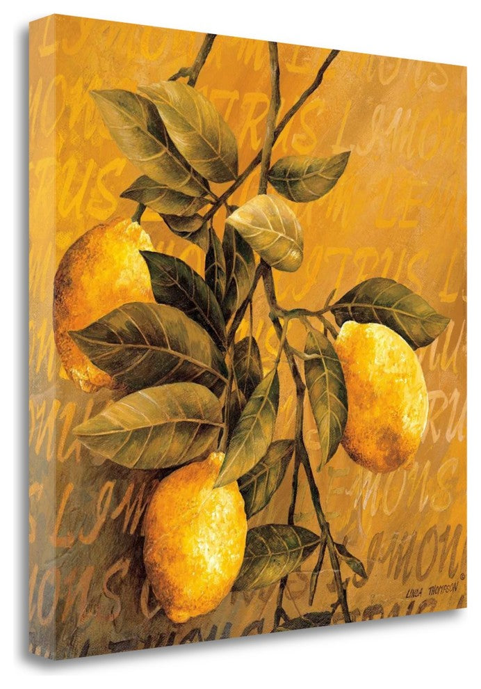 "Lemon Branch" By Linda Thompson, Giclee Print on Gallery Wrap Canvas