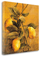 "Lemon Branch" By Linda Thompson, Giclee Print on Gallery Wrap Canvas