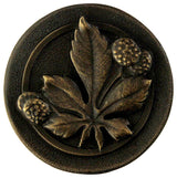 Horse Chestnut Knob Antique Brass, Dark Brass