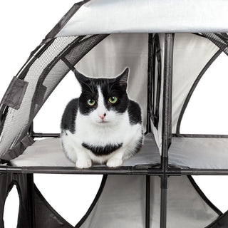 Kitty-Play Obstacle Collapsible Soft Folding Pet Cat House, Gray/Black