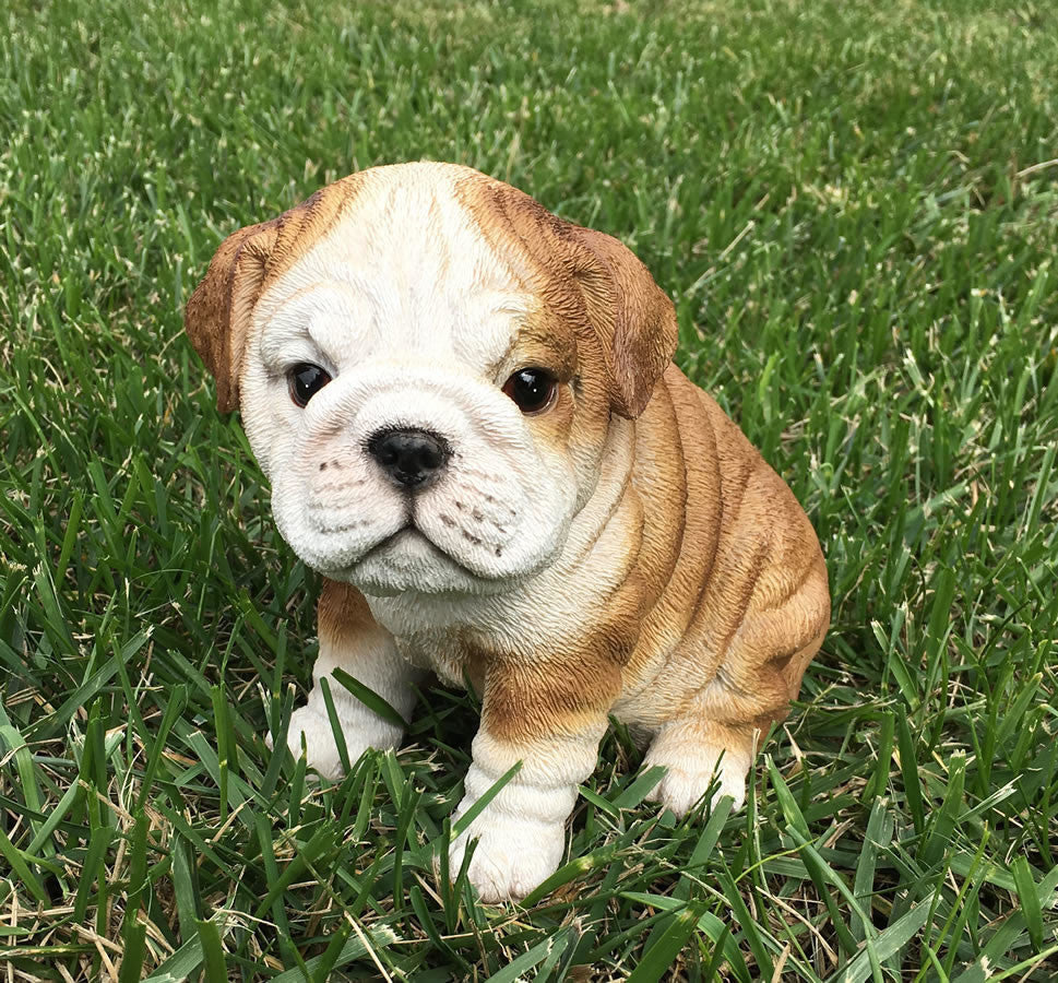 Realistic Bulldog Puppy Garden Statue