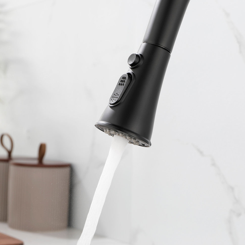 Wellfor Stainless Steel Kitchen Sink Faucet with Pull Down Spray, Matte Black