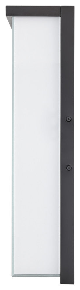 LED Light 8 in. Powder Coated Black Outdoor