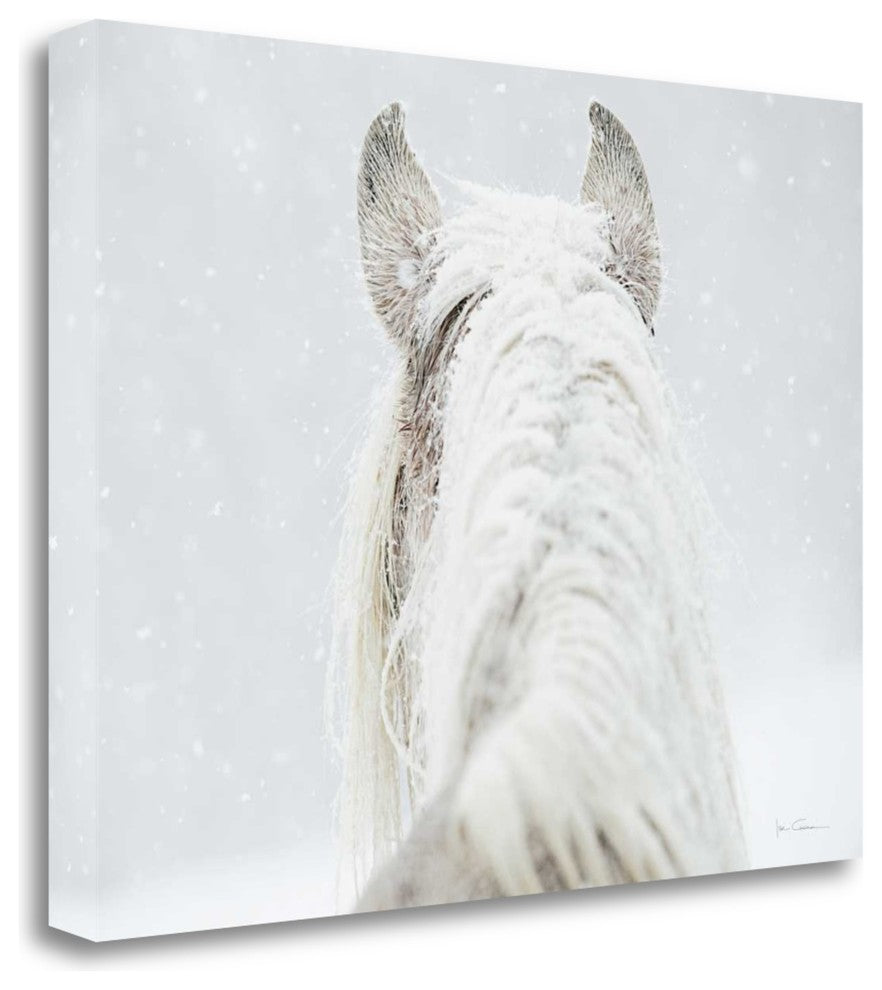 "Winter Dreaming" By Lisa Cueman, Giclee Print on Gallery Wrap Canvas