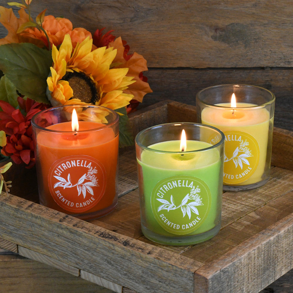 Citronella Scented Candles in 10oz Glass Jars, Set of 3
