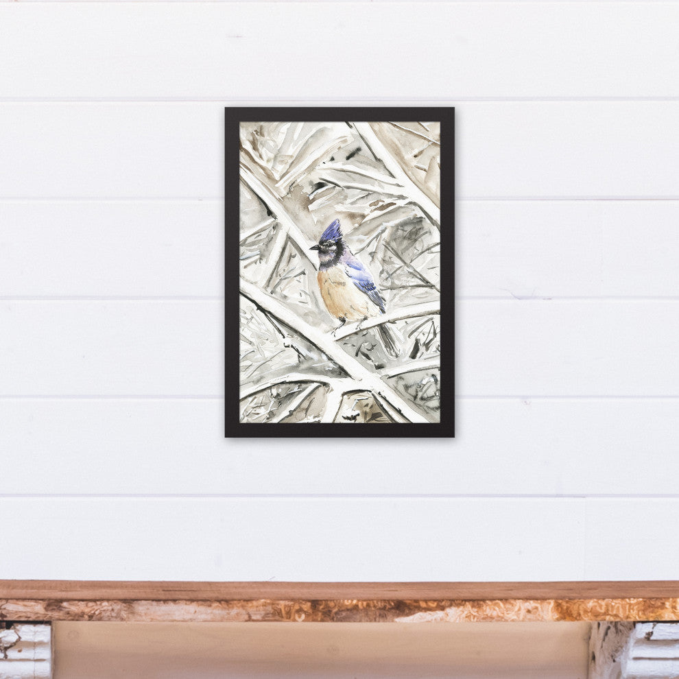 Winter Blue Jay 12x18 Black Framed Canvas