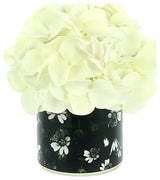 Hydrangea in a Labeled Glass Vase