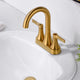 Luxier MSC11-T Single-Handle Bathroom Faucet With Drain, Brushed Gold