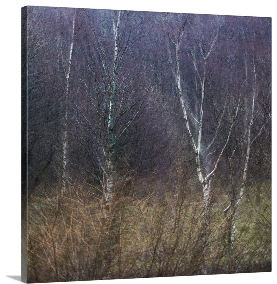 "Scottish Impressions" Wrapped Canvas Art Print, 20"x20"x1.5"