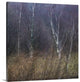 "Scottish Impressions" Wrapped Canvas Art Print, 20"x20"x1.5"
