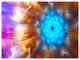 Multi Color Exotic Flower Petals, Floral Canvas Art Print, 40"x30"