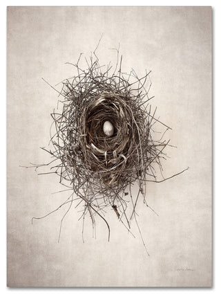 Debra Van Swearingen 'Nest I' Canvas Art, 24" x 32"