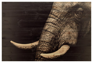 "Elephant" Wall Art Giclee Printed On Solid Fir Wood Planks