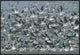 American Avocet Flock Erupting Into Flight, North America, 36"x24"