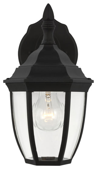 Bakersville Small 1-Light Outdoor Wall Lantern, Black