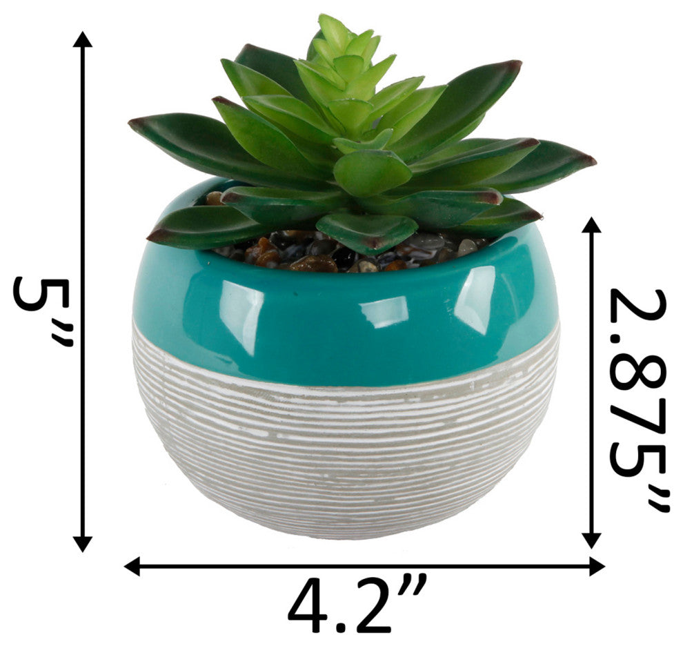 Succulent In Two Tone Lines Pattern Ceramic Pot ,Teal