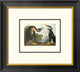 "Red-Necked Grebe (decorative border)"  by John James Audubon, 20x18"