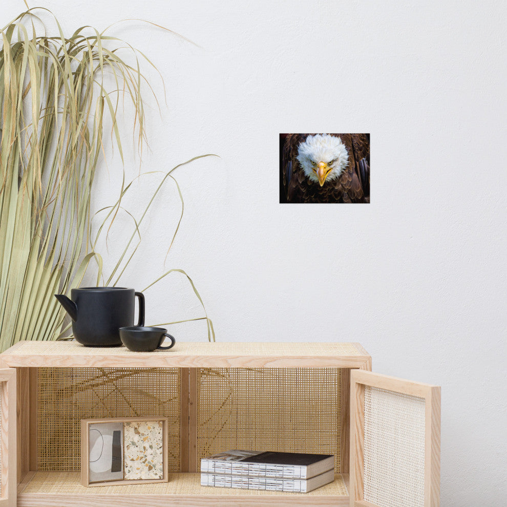 Bald Eagle Portrait Close-up Loose Wall Art Print, 8" X 10"