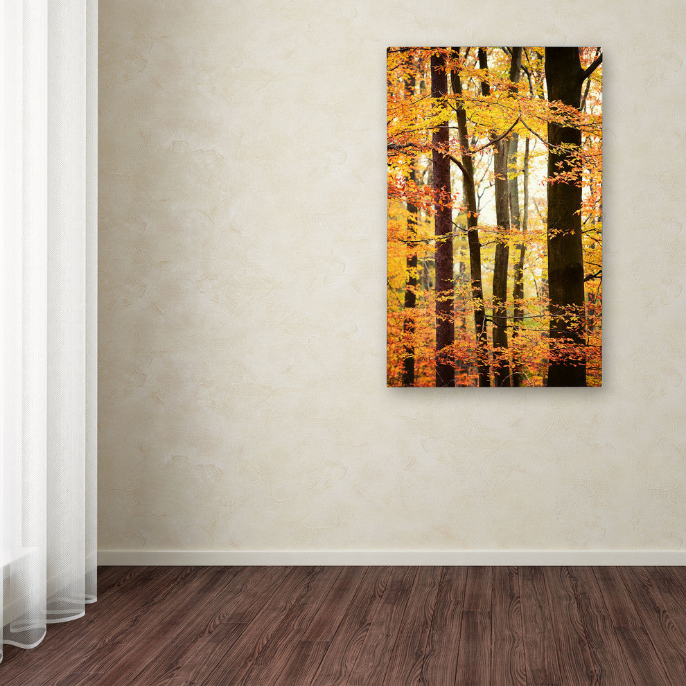 'Between Us' Canvas Art by Philippe Sainte-Laudy