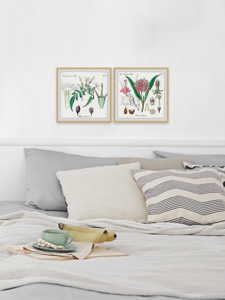 "Crinum in My Garden Diptych" Framed Prints, 12"x12", 2-Piece Set