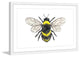 Marmont Hill, "Bumble Bee" by Thimble Sparrow Framed Painting Print, 24x16