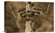 "Raccoon Two Babies Climbing Tree, North America - Sepia" Artwork, 16" x 12"