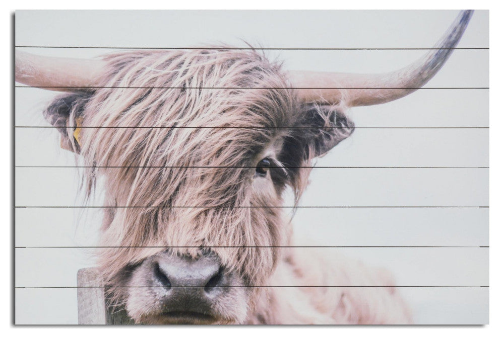 Adorbale Highland Cow Wood Plank Wall Art
