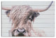 Adorbale Highland Cow Wood Plank Wall Art