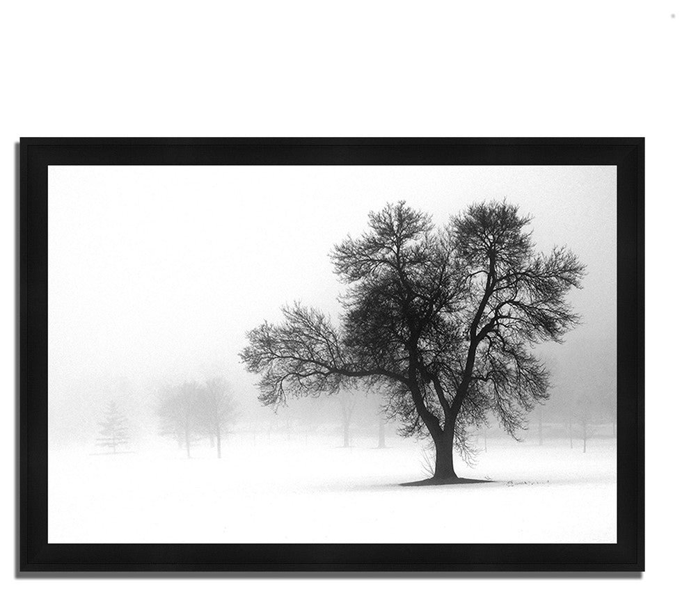 "Reaching Out", Framed Photograph Print, Ready To Hang