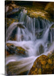 "Last Cascade" Wrapped Canvas Art Print, 26"x36"x1.5"