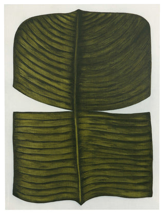 Ficus Elastica By Marianne Hendriks
