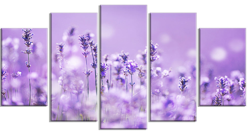 Stunning Purple Lavender Field, Landscape Canvas Art Print, 60"x32", 5 Panels