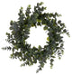 24" Green Spiral Eucalyptus Wreath
