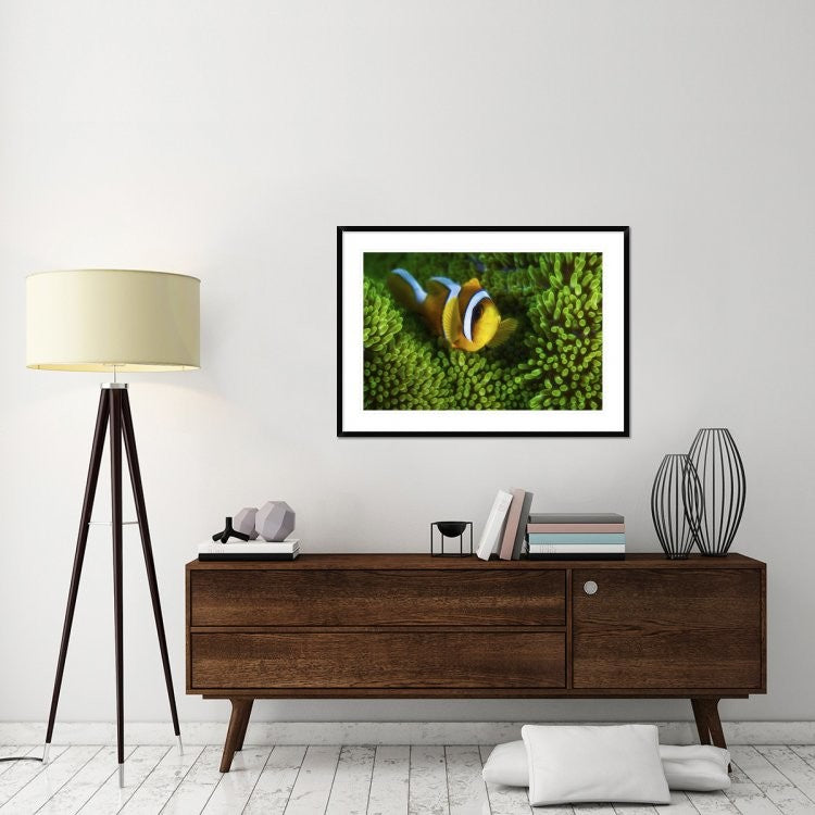"Yellow Clownfish On Green Anemon"  by Barathieu Gabriel, 44x32"
