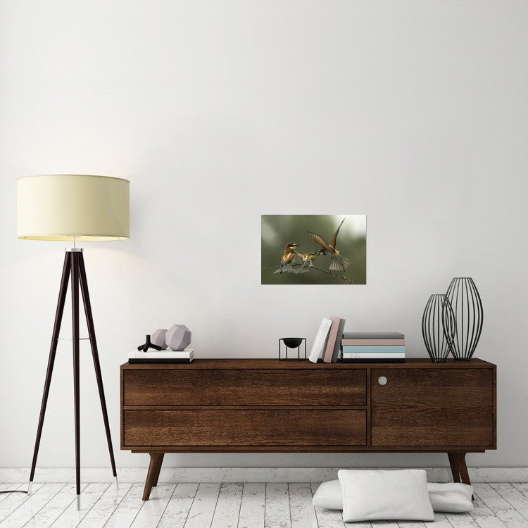 "The Fight For The Female" Stretched Canvas Giclee by Alberto Carati, 24"x16"