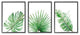 Green Leaves Modern Green Tropical Palm Fans ,3pc, each 24 x 30